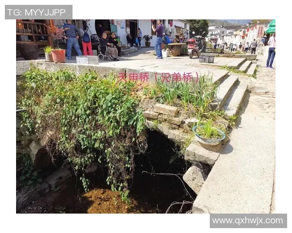 韩国足球队申姓球星的崛起与挑战 逐梦之路的背后故事